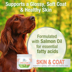 Healthy Promise Skin and Coat Soft Chews for Dogs, Savory Liver (90 Count)
