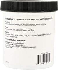 Drawing Salve (formerly called Ichthammol) 14oz