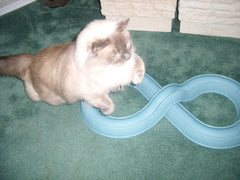 Bergan Turbo Track Cat Toy Slate Blue, 1ea/1 pk