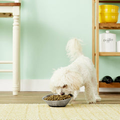 OurPets Tilt-a-Bowl Silver Small