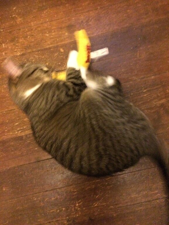 Yeowww! Banana Catnip Cat Toy Yellow 7 in