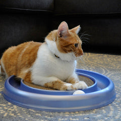 Bergan Turbo Scratcher Cat Toy Assorted, 1ea