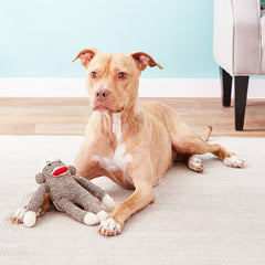 Multipet Sock Monkey 10 inch
