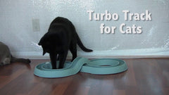 Bergan Turbo Track Cat Toy Slate Blue, 1ea/1 pk
