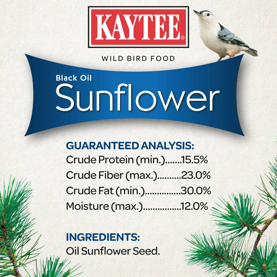 Kaytee Black Oil Sunflower 5 Pounds