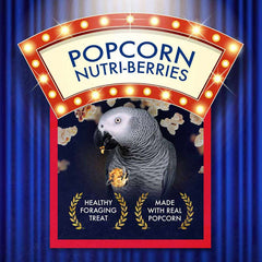Lafeber Parrot Popcorn Nutri-Berries, 4 oz bag