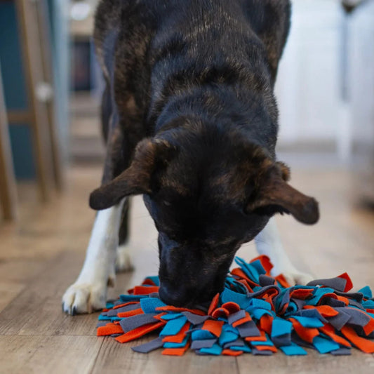 Messy Mutts Dog Round Forage Mat 15 Inch