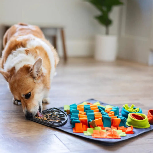 Messy Mutts Dog Square Forage Lick Mat 16" x 16"