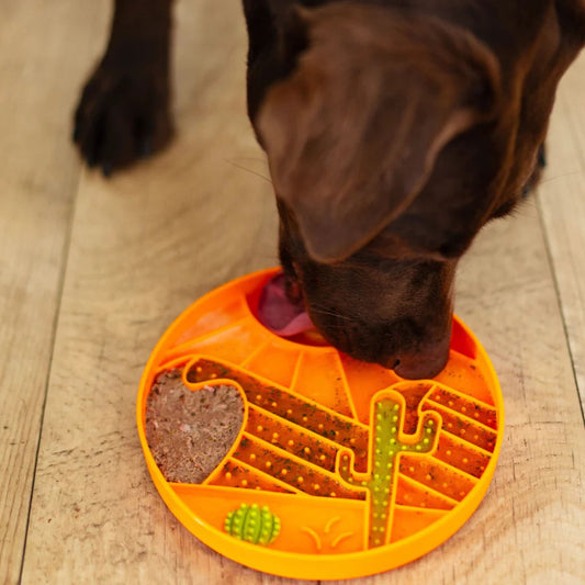 Messy Mutts Dog Silicone Interactive Lick Bowl Desert Pattern Orange