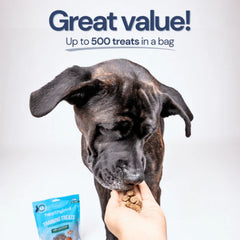 Healthy Bud Dog 6.5oz. Training Treats Salmon with Superfoods