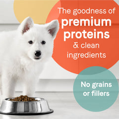CANIDAE PURE Farm To Bowl GrainFree LID Dry Puppy Food Wild Caught Salmon Sweet Potato, 1ea/4 lb
