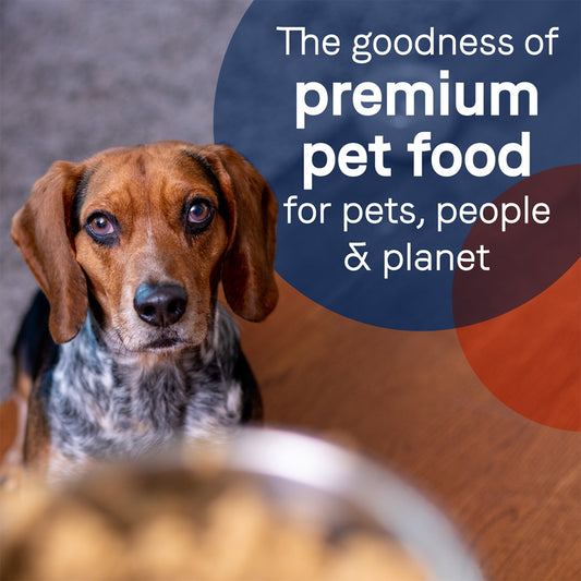 CANIDAE PURE Goodness GrainFree LID Canned Dog Food Elements Formula w/Lamb, Turkey Chicken, 12ea/13 oz