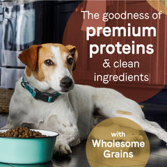 CANIDAE PURE Farm To Bowl w/Wholesome Grains Dry Dog Food Lamb Brown Rice, 1ea/22 lb