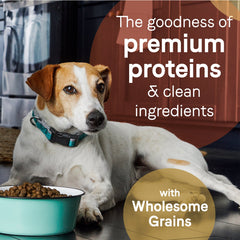 Pure Dog Food with Wholesome Grains Beef/Barley 22 Lb
