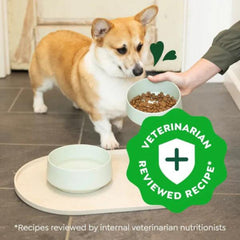 Greenies Smart Essentials Small Breed Dry Dog Food Chicken Rice, 1ea/27 lb