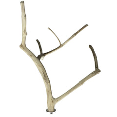 A&E Java Wood Multi Branch Bird Perch Medium