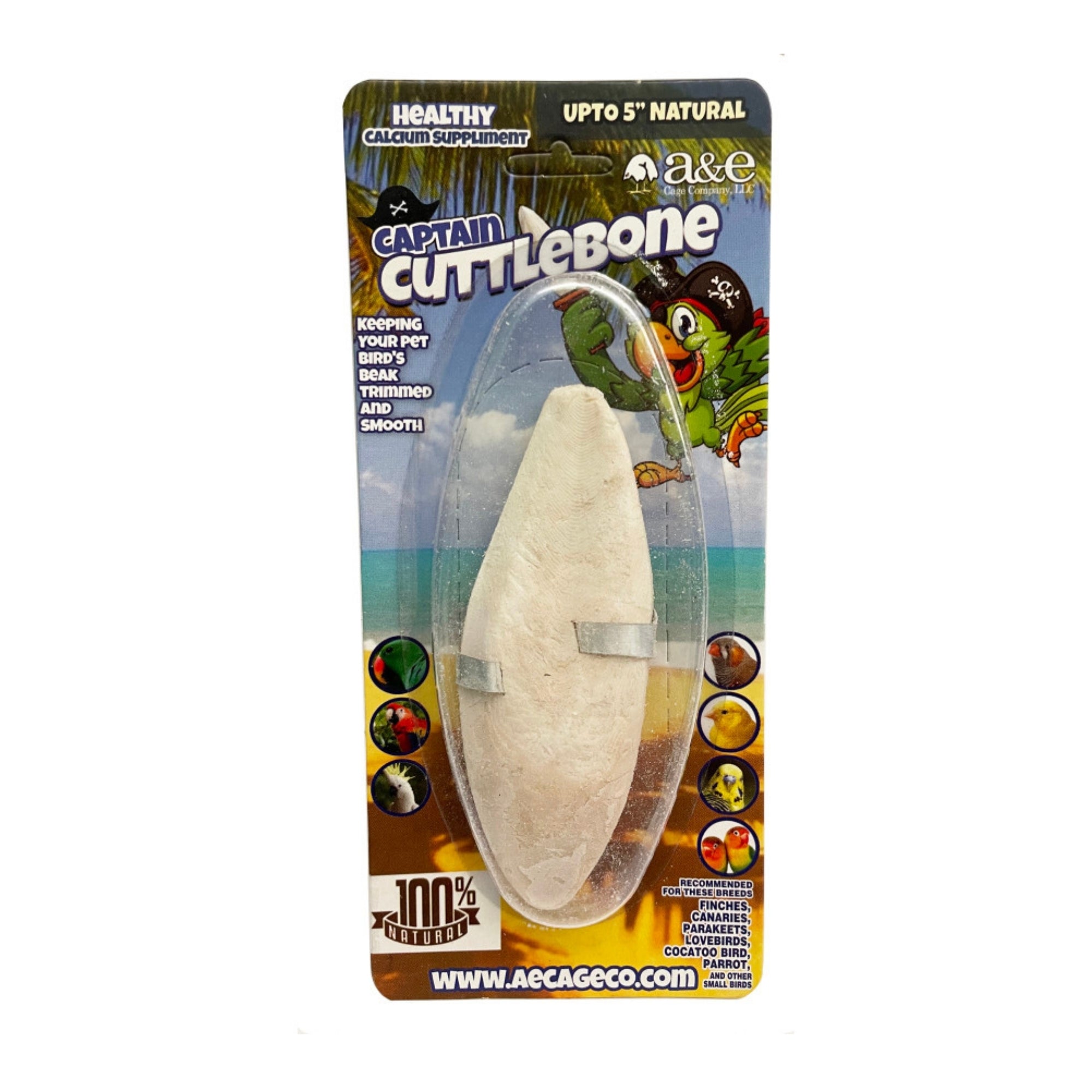A & E Cages Natural Cuttlebone 1ea/5 in. (Pack of 3)