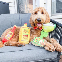 H&K Power Plush Dog Margarita Loco Large Squeak Crinkle