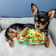 H&K Power Plush Dog Taco Tuesday Small Squeak Crinkle