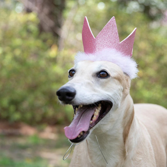 H&K Celebration D&C Party Crown Pink Large