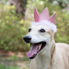 H&K Celebration D&C Party Crown Pink Large