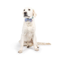 H&K Celebration D&C Bow Tie Happy Got Me Day Large