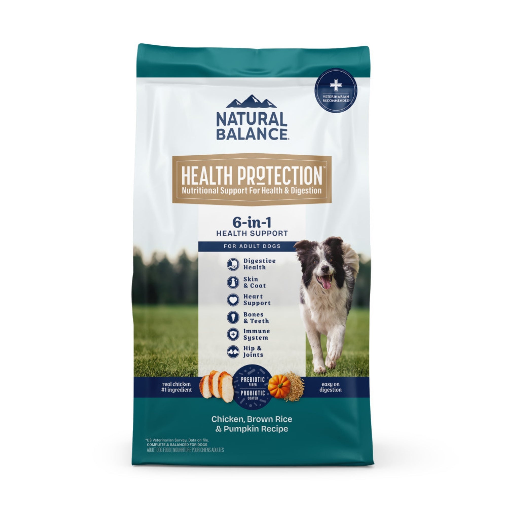 Natural Balance Pet Foods Health Protection Dry Dog Food Chicken, Rice Pumpkin, 1ea/4 lb