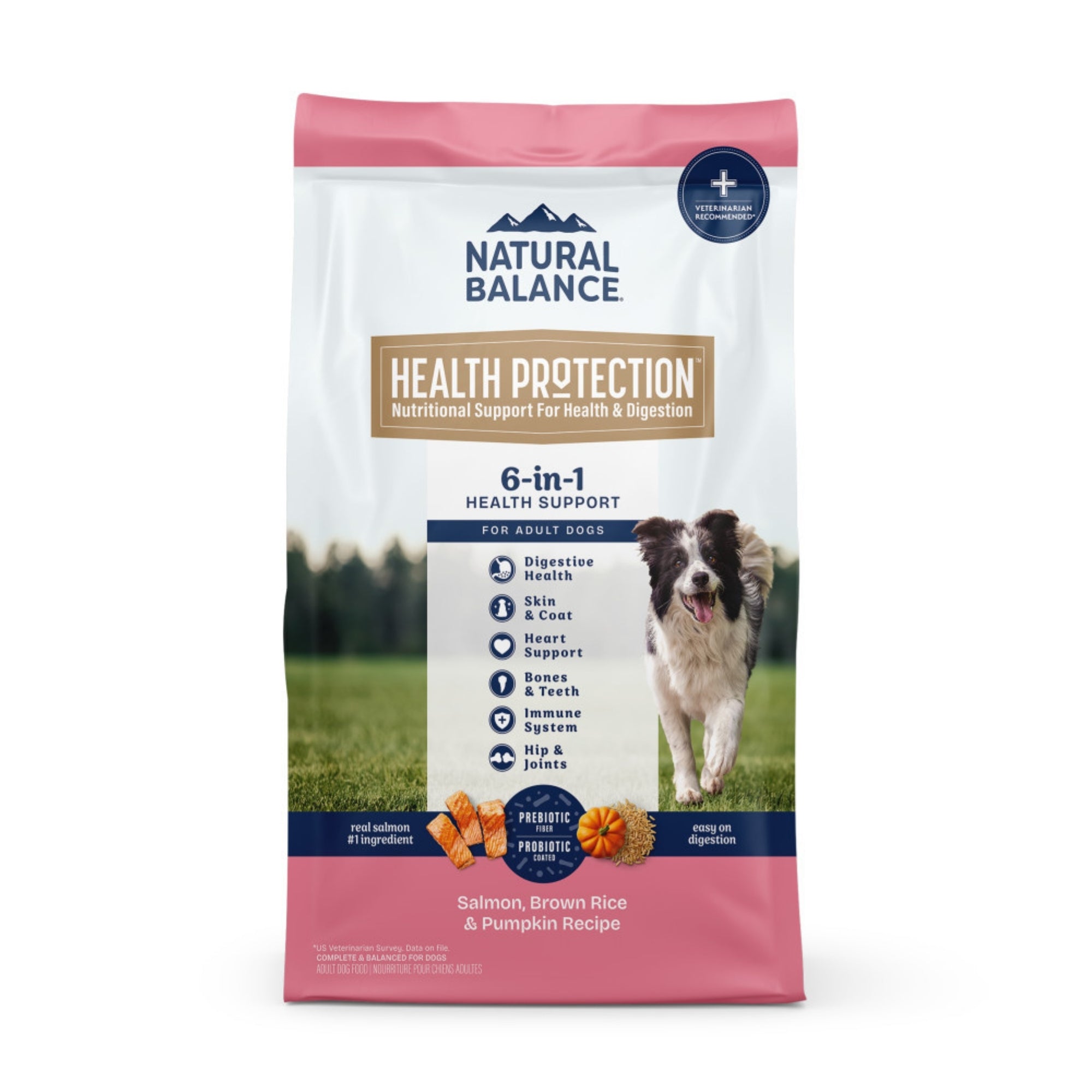 Natural Balance Pet Foods Health Protection Dry Dog Food Salmon, Brown Rice Pumpkin, 1ea/4 lb