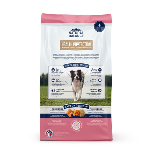 Natural Balance Pet Foods Health Protection Dry Dog Food Salmon, Brown Rice Pumpkin, 1ea/22 lb