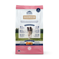 Natural Balance Pet Foods Health Protection Dry Dog Food Salmon, Brown Rice Pumpkin, 1ea/22 lb