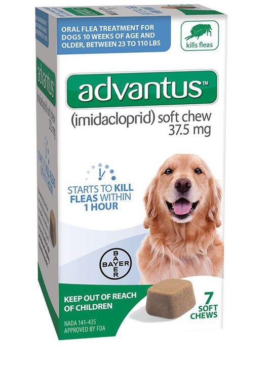 Advantus Chewable Flea Treatment for Dog 23-110lbs 7ct