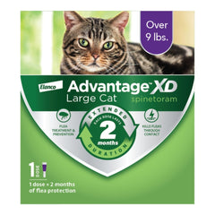Advantage XD Cat Large - 1 Pack
