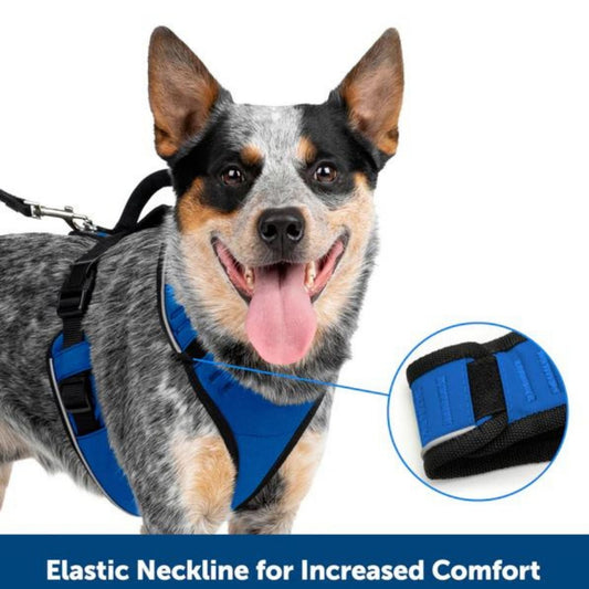 Petsafe Dog Easy Sport Harness Black Small