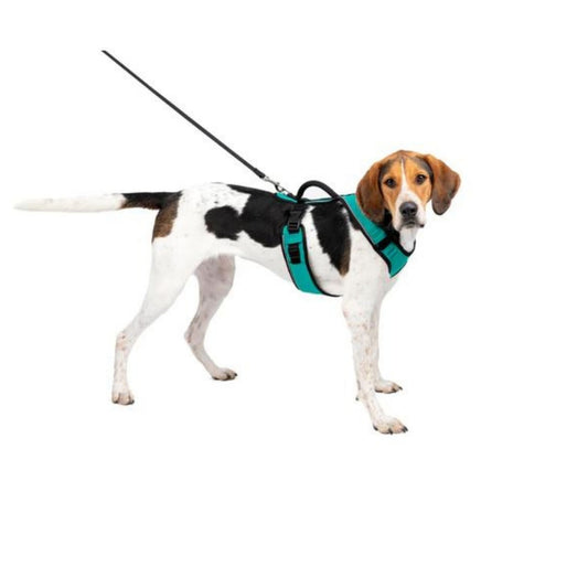 Petsafe Dog Easy Sport Harness Teal Small