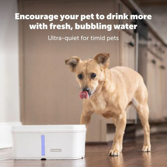 Petsafe Dog & Cat Viva Fountain Plastic Tray 64oz.