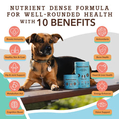 Natural Dog Company Dog Multivitamin Supplement Chews - 90 Count