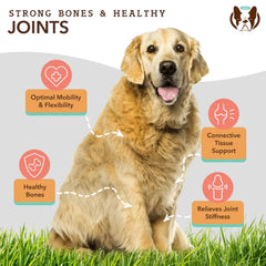 Natural Dog Company Dog Hip & Joint Supplement Chews - 90 Count
