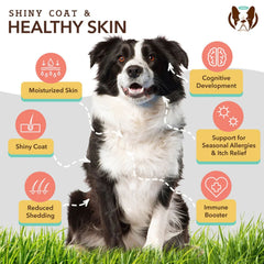 Natural Dog Company Dog Skin & Coat Supplement Chews - 90 Count