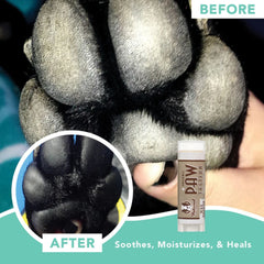 Natural Dog Company Dog Pawtection Stick 2oz.