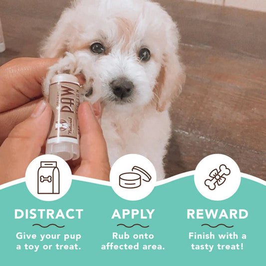 Natural Dog Company Dog Pawtection Stick 2oz.