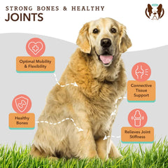 Natural Dog Company Dog Hip & Joint / Glucosamine Oil 16oz.
