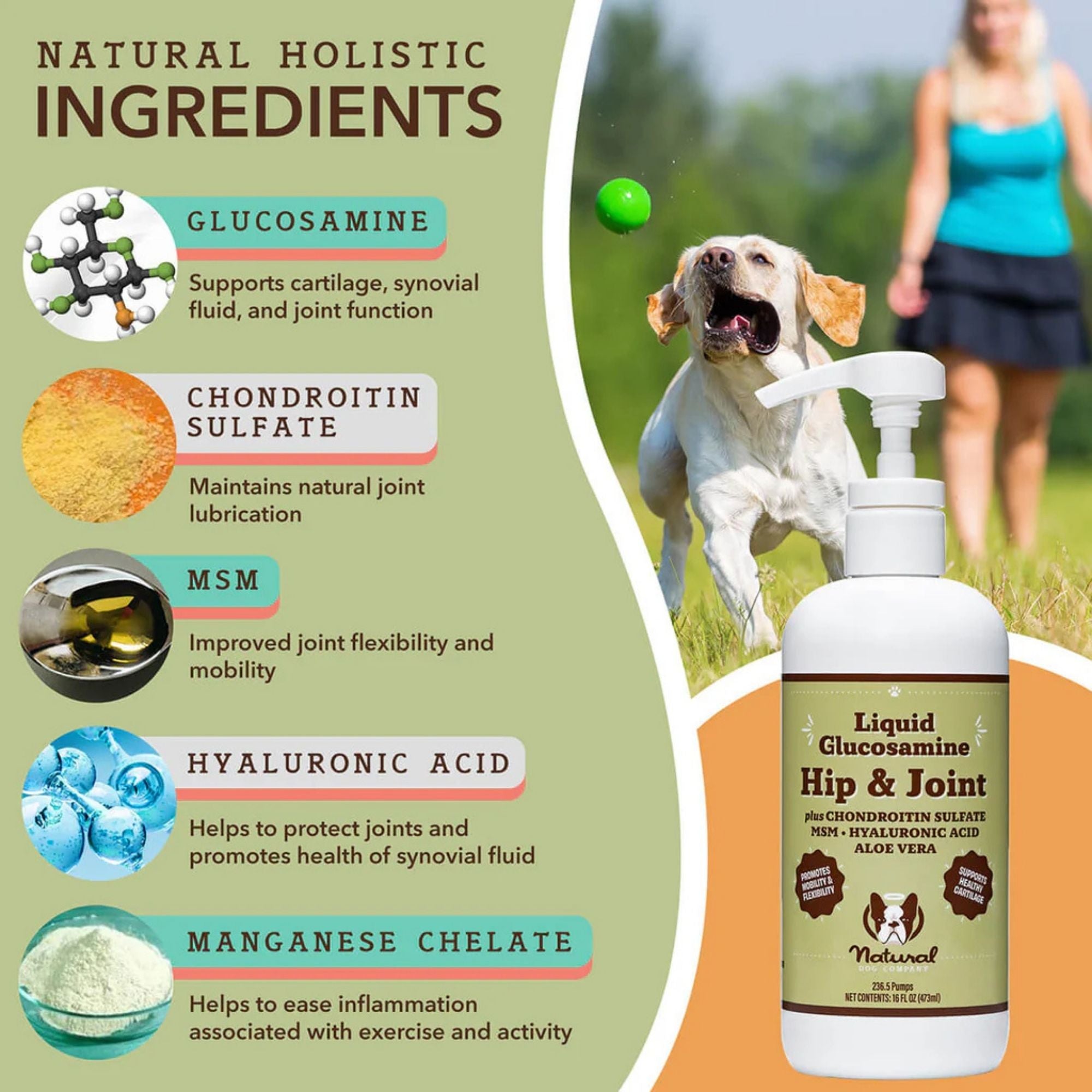 Natural Dog Company Dog Hip & Joint / Glucosamine Oil 16oz.