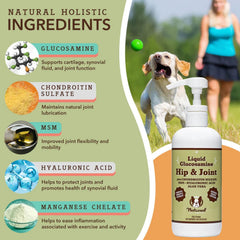 Natural Dog Company Dog Hip & Joint / Glucosamine Oil 16oz.