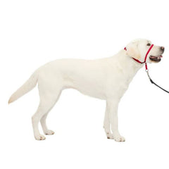 Petsafe Dog Gentle Leader Head Collar Red Large