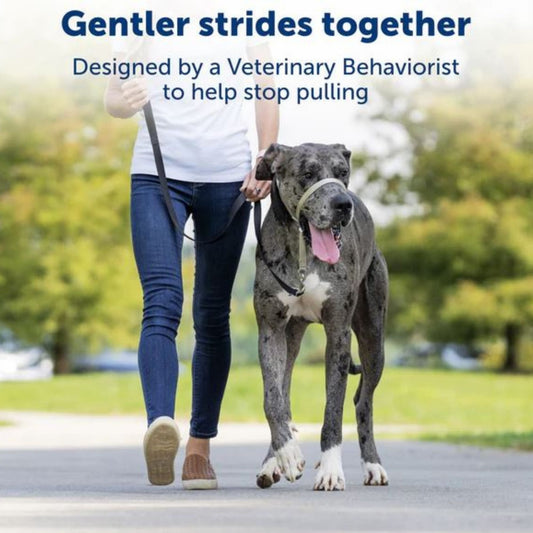 Petsafe Dog Gentle Leader Head Collar Red Medium