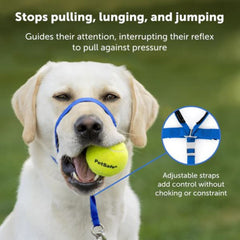 Petsafe Dog Gentle Leader Head Collar Royal Blue Small