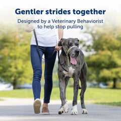 Petsafe Dog Gentle Leader Head Collar Royal Blue Medium