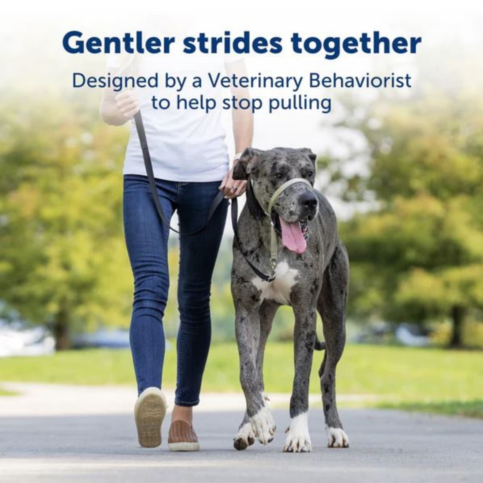 Petsafe Dog Gentle Leader Dog Head Collar Black Medium