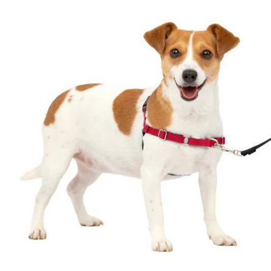 Petsafe Dog Easy Walk Harness Red Small