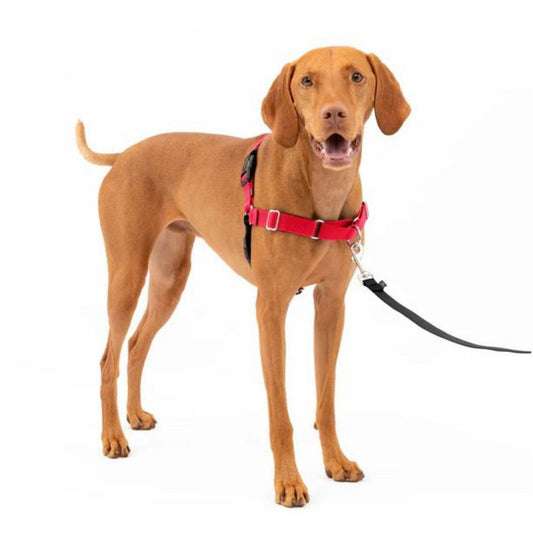 Petsafe Dog Easy Walk Harness Red Medium